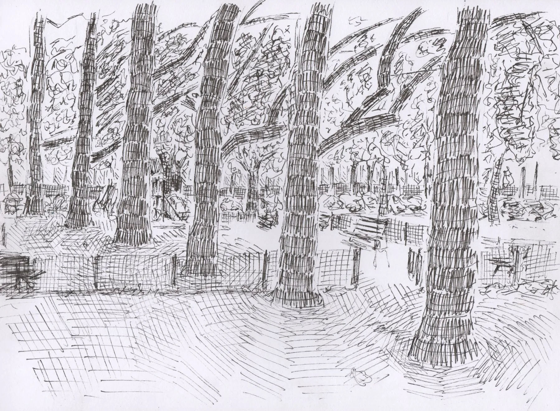 Rangée de platanes, place Jean Jaurès